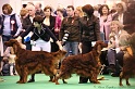 Crufts2011_2 041